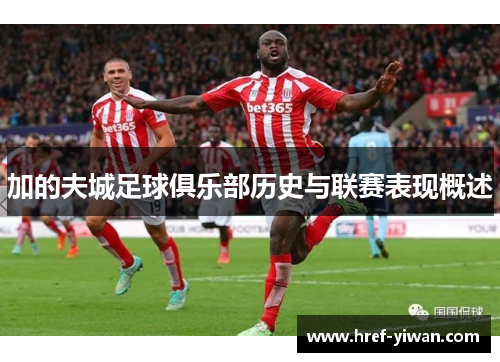 加的夫城足球俱乐部历史与联赛表现概述 加的夫城足球俱乐部历史与联赛表现概述